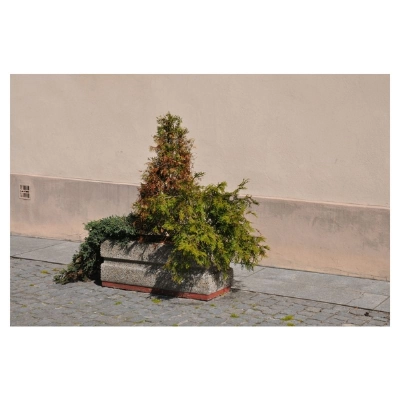 Donica betonowa prostokątna 100x40x40 HK 243