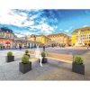 DONICA NA DRZEWA KUB PROCITY - STAL